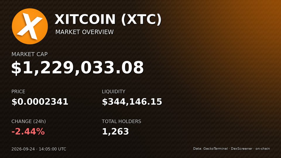 Market overview card: market cap, price, liquidity, change, holders
