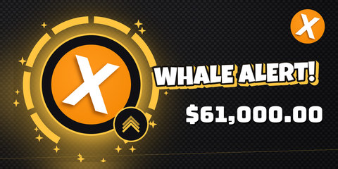 Whale tier banner